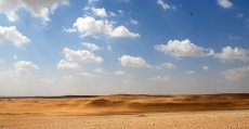 padang pasir